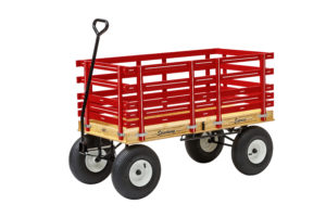 wagon accessories rack