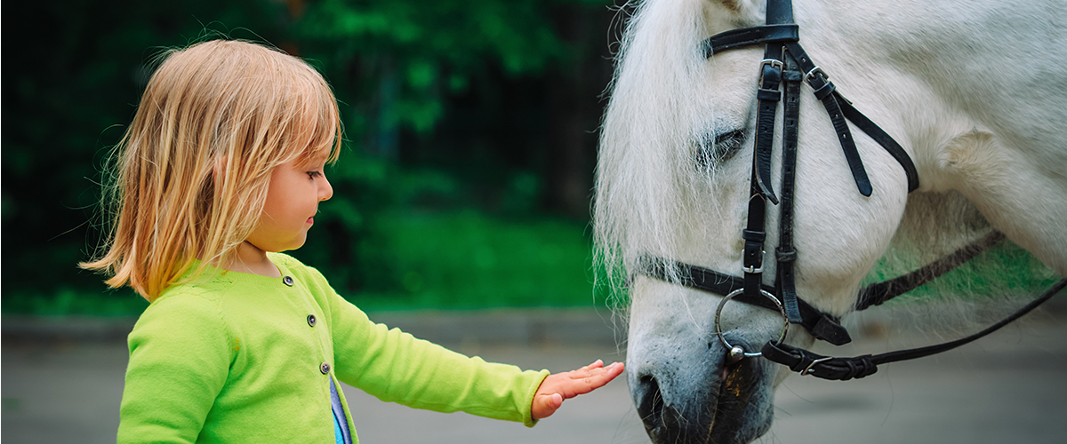 pony wagons for kids