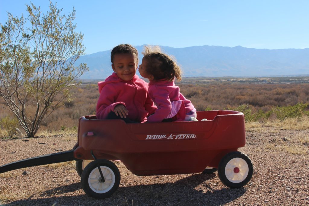 Beach Wagon For Kids Save Time Hassle