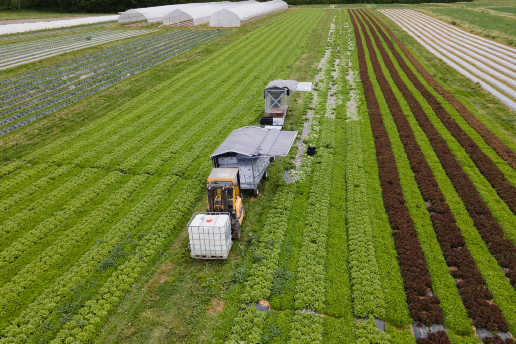 produce wagon for veggies