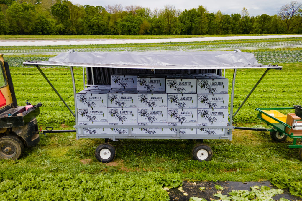 roadside produce wagon