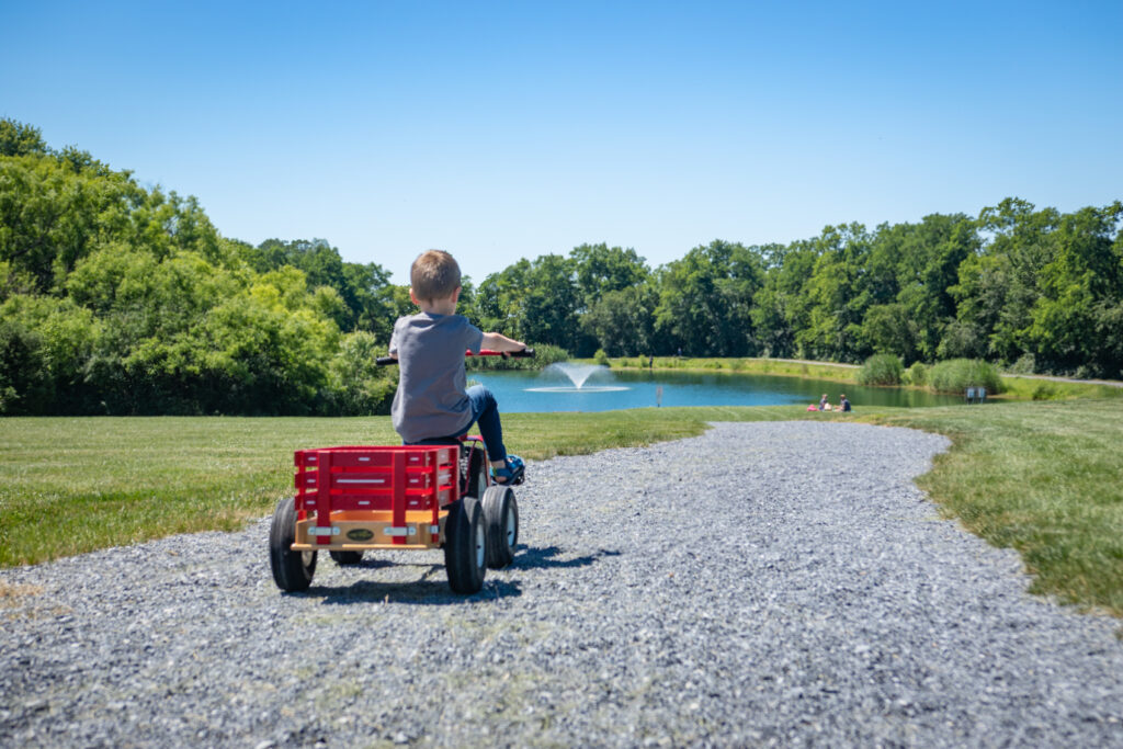 natural rubber tires for tricycles