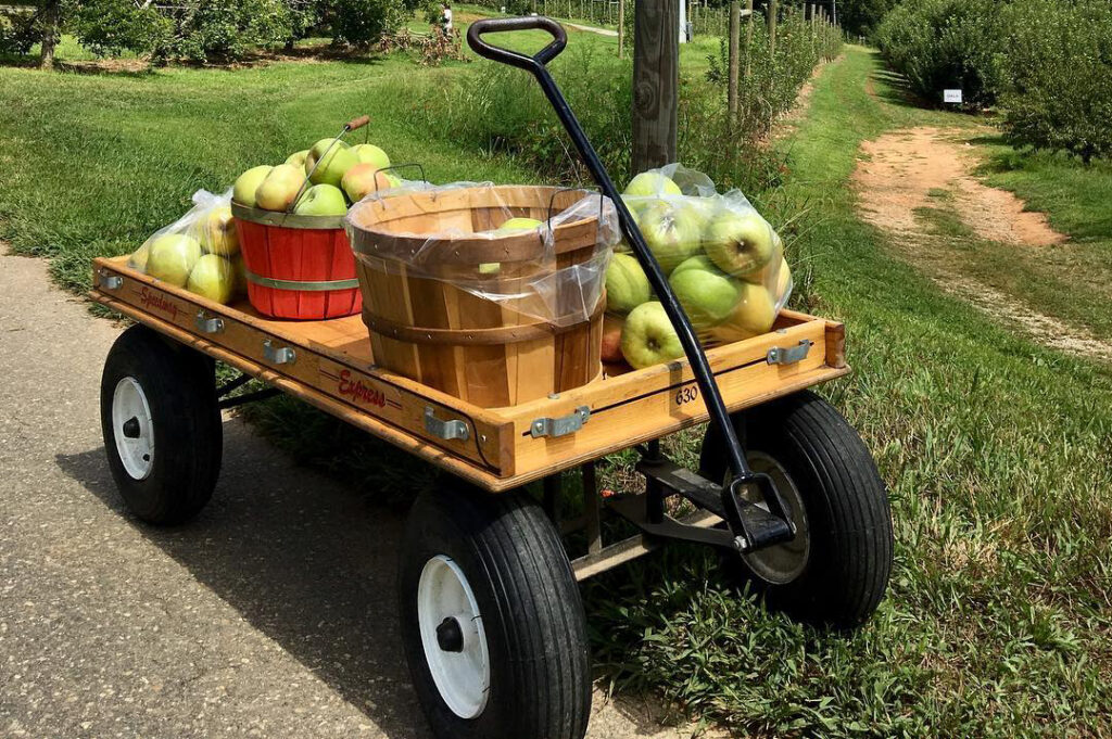 natural rubber tires for wagons