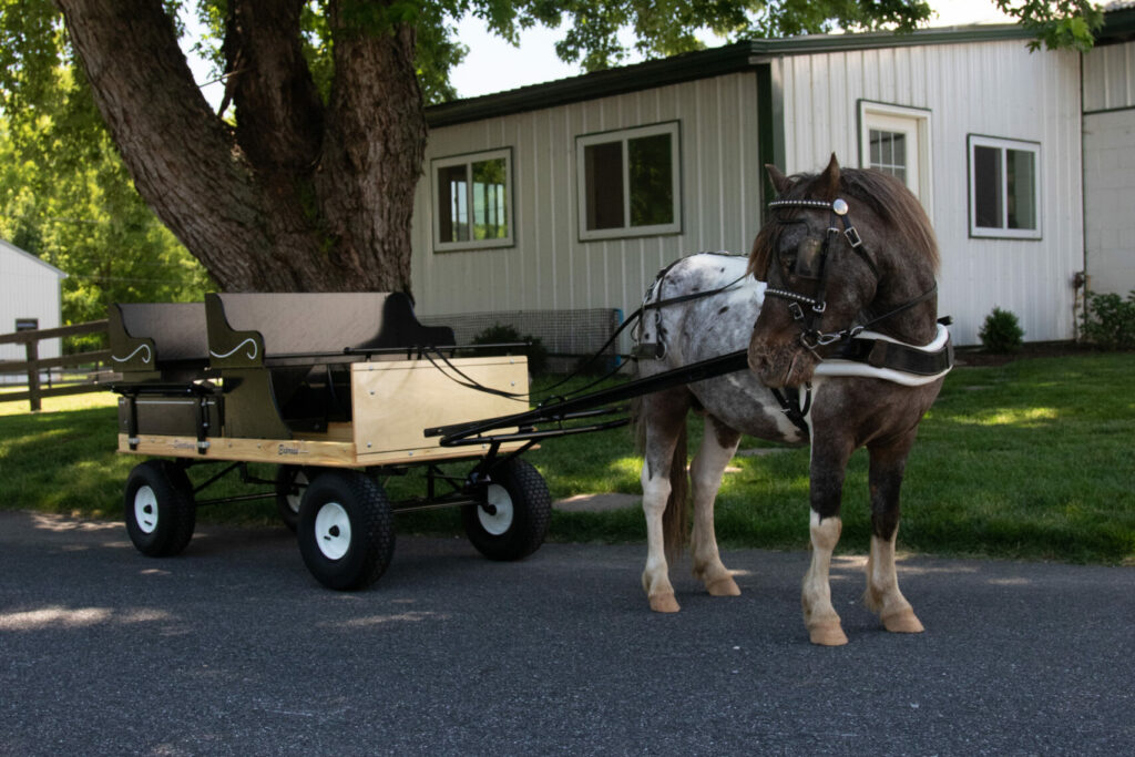 pony cart