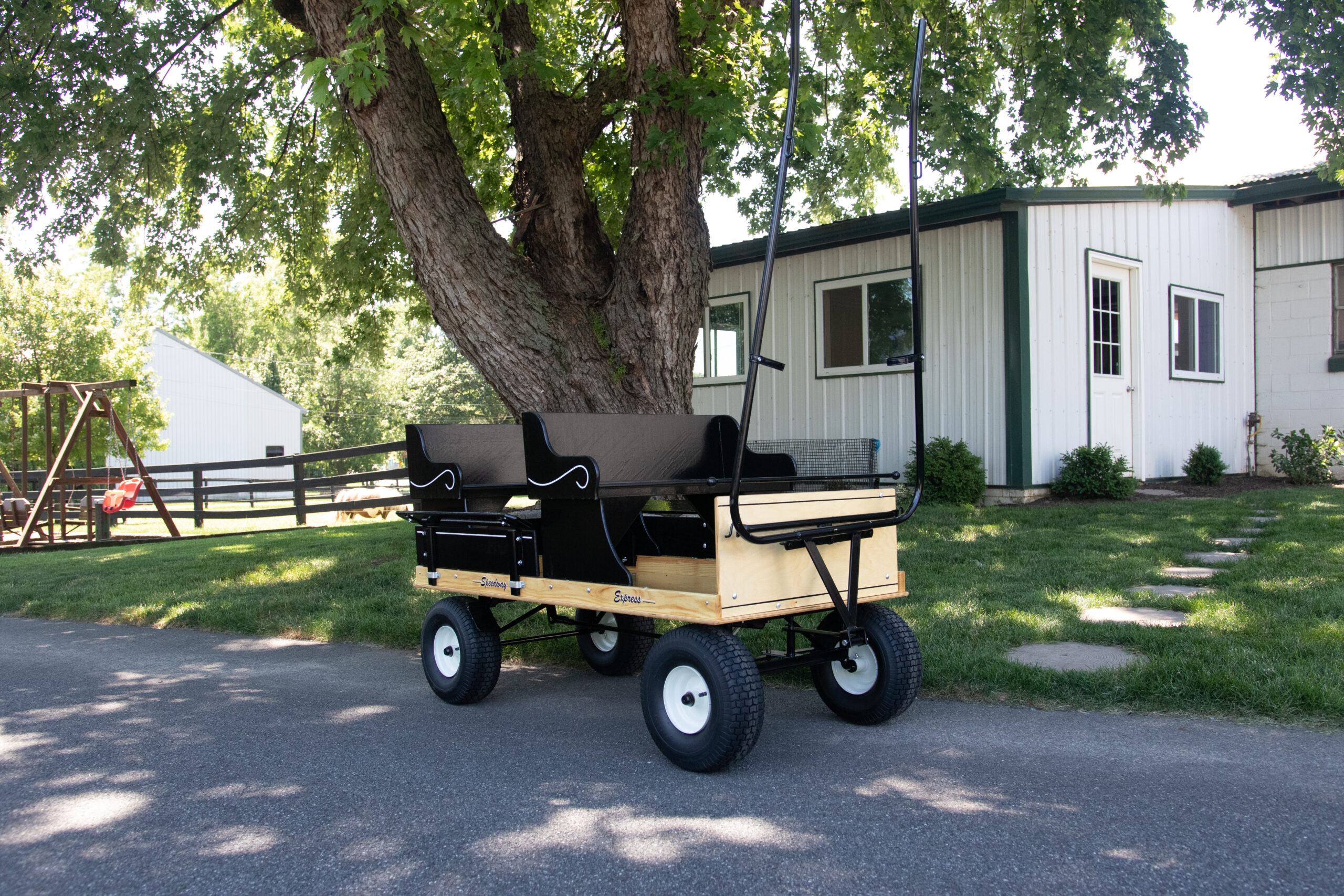 pony cart with harness