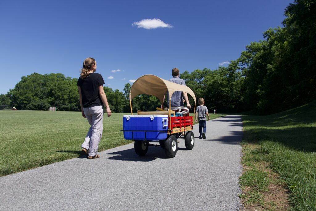 What are Wheel Hubs for Wagons