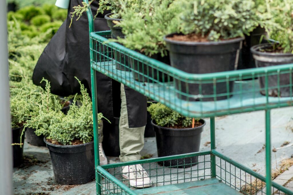 double decker cart for garden work in atlanta ga